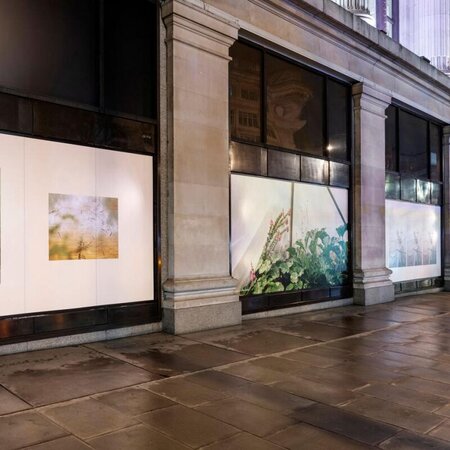 Selfridges - 'A Return to Nature' at Oxford Street