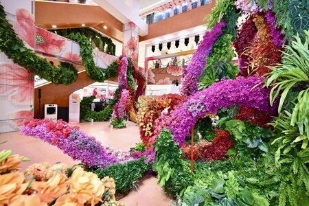 Central 78th Flower Show