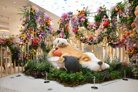 Central 78th Flower Show