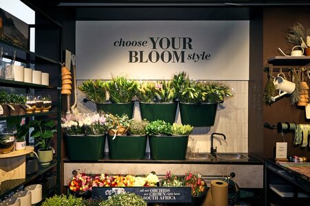 Food Emporium at Woolworths
