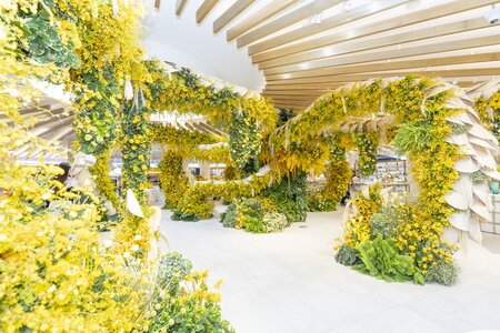 Central 78th Flower Show