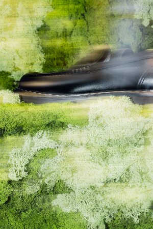 Spring Campaign at Steen & Strom